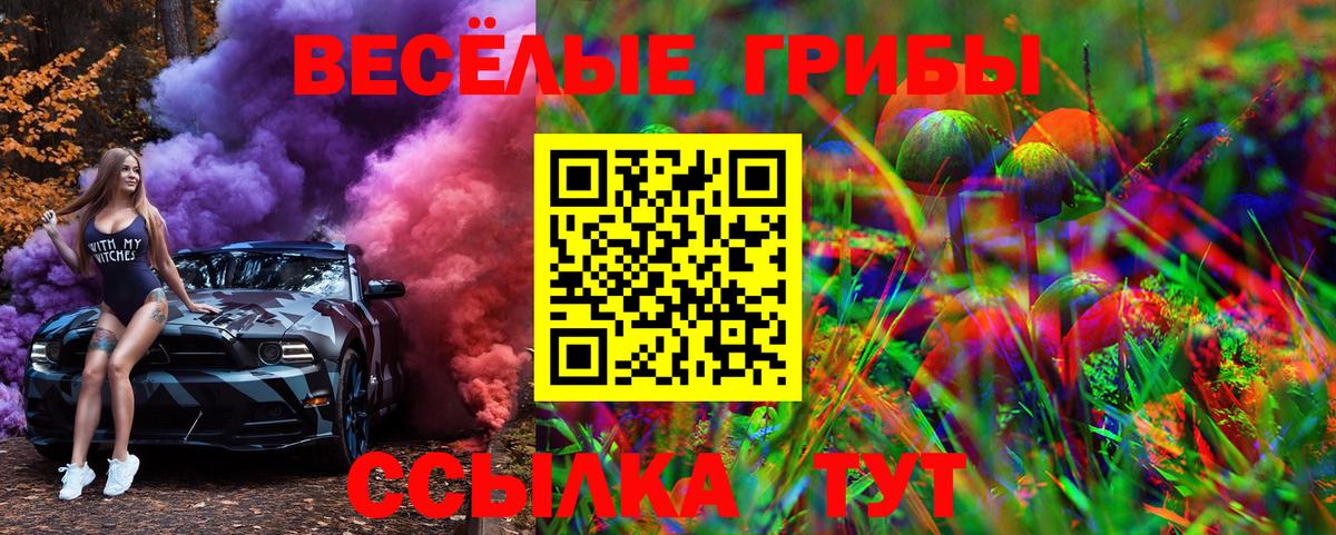 Псилоцибиновые грибы мицелий  Вход с VPN  Галлюциногенные грибы Cubensis  Урус-Мартан 